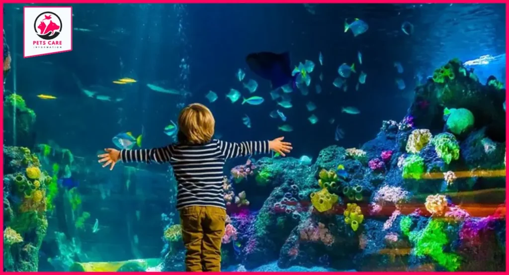 gifts for a child who likes marine life aquariums