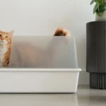 Why Choose a Stainless Steel Litter Box Over Plastic?