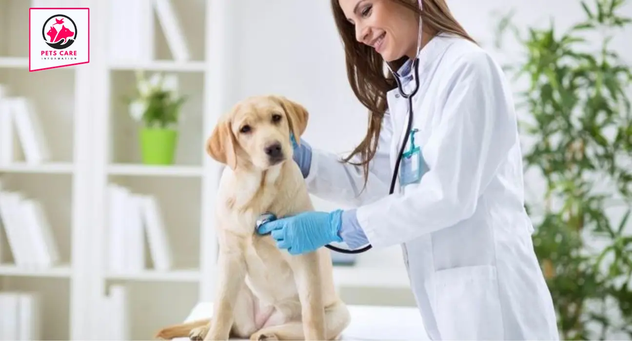 which veterinarians offer heartworm injections for dogs near 85044